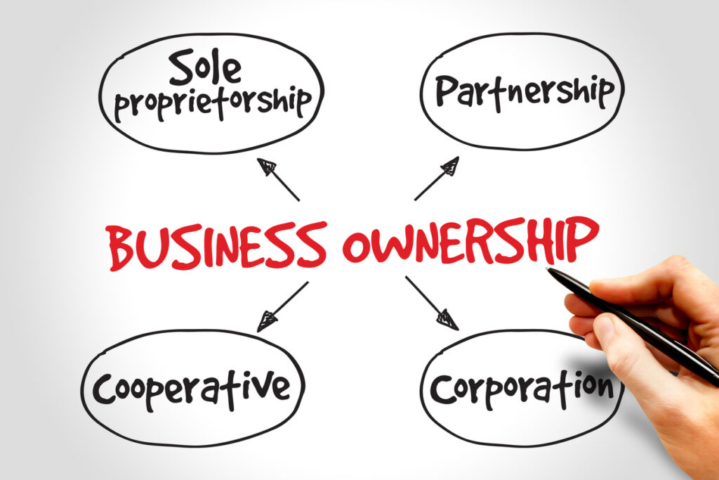 business ownership structure